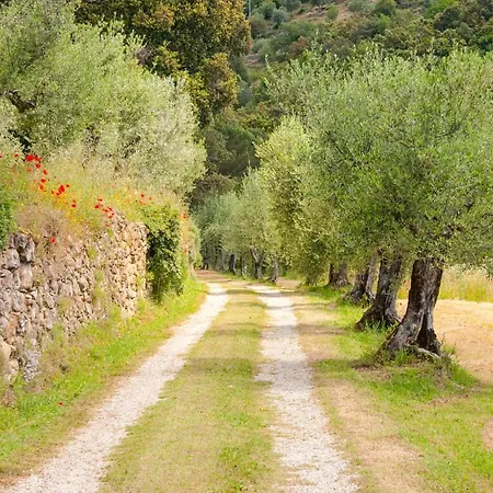 Nello Villa Cortona