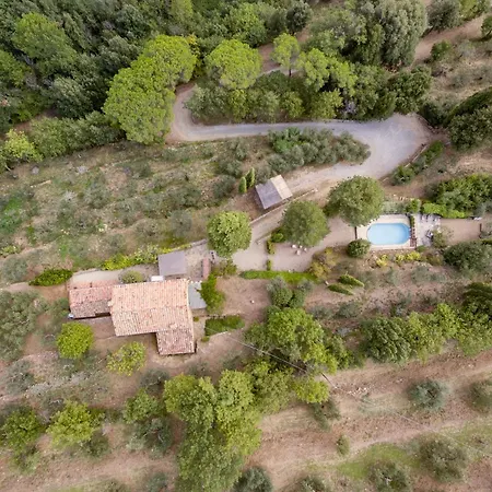 Nello Villa *